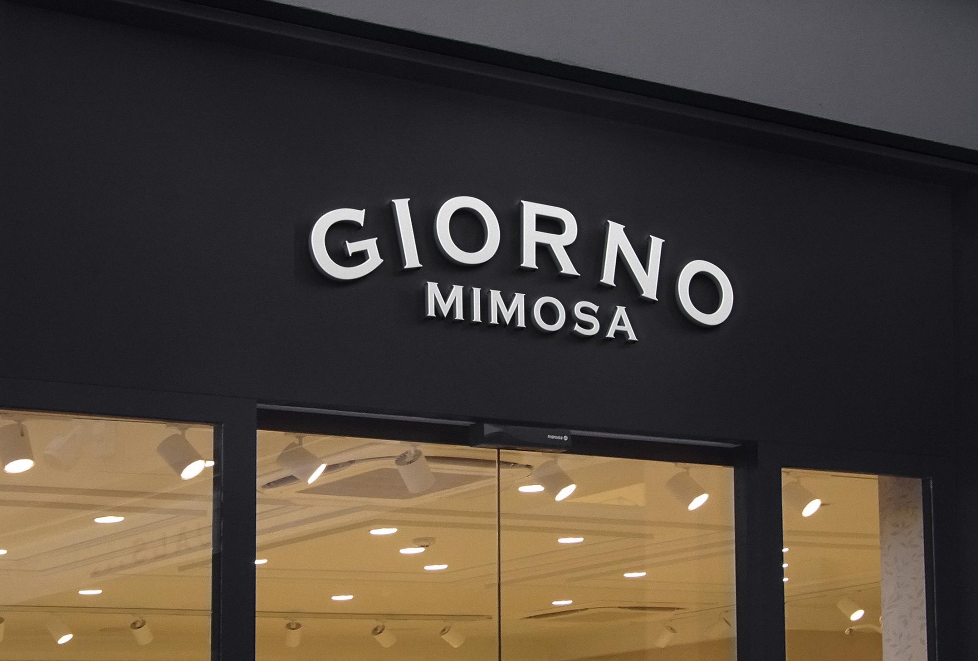 Giono Mimosa