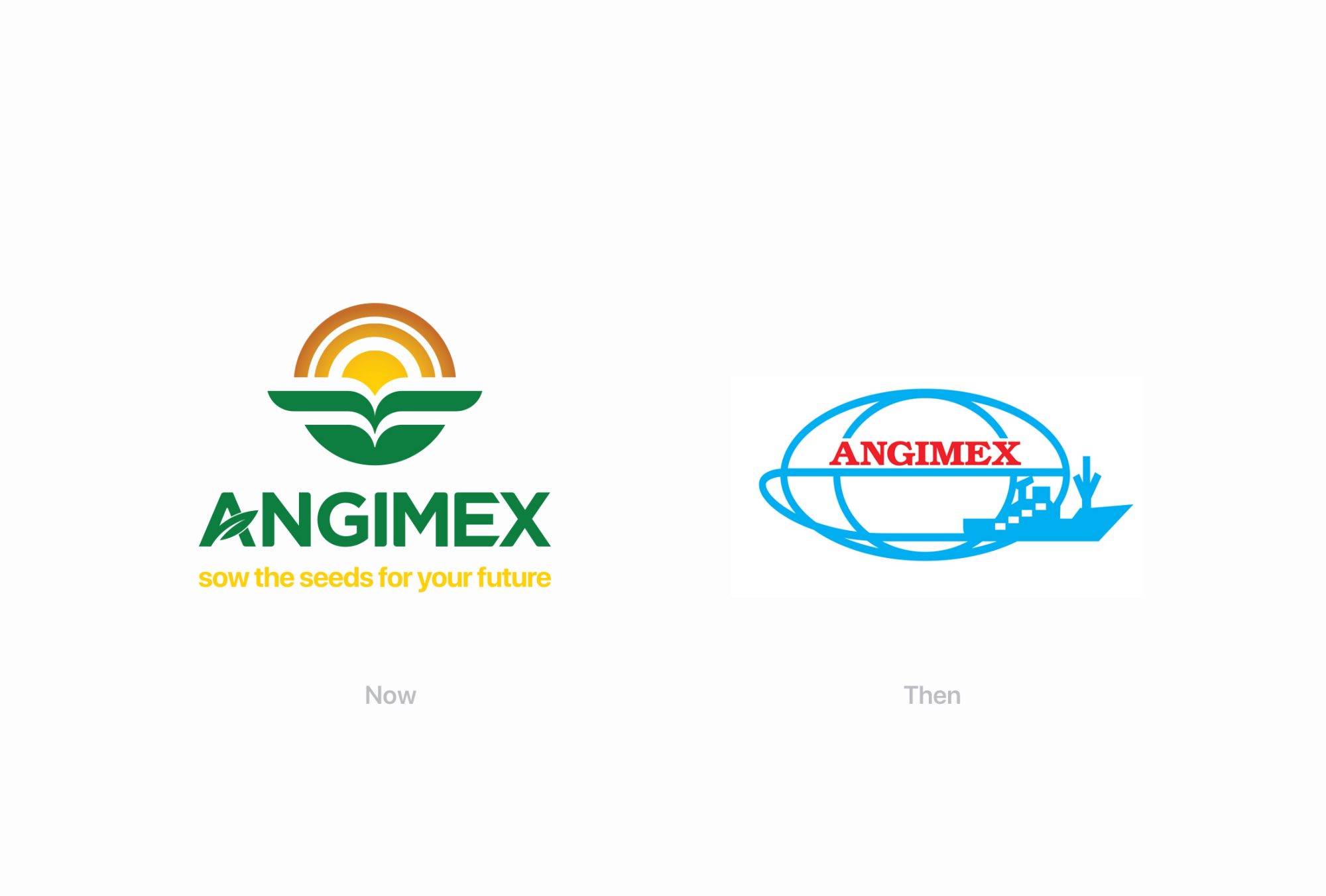 Angimex