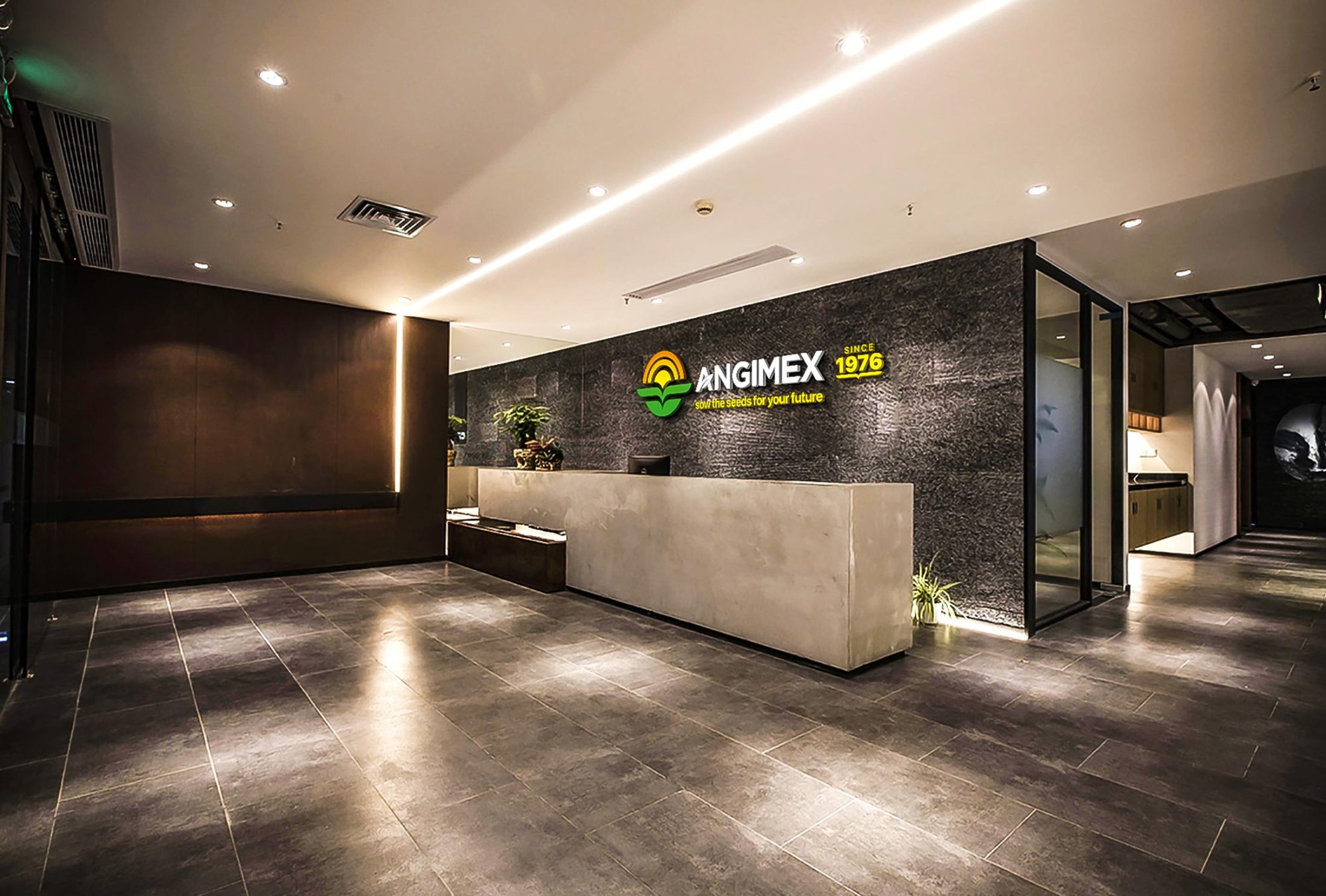 Angimex