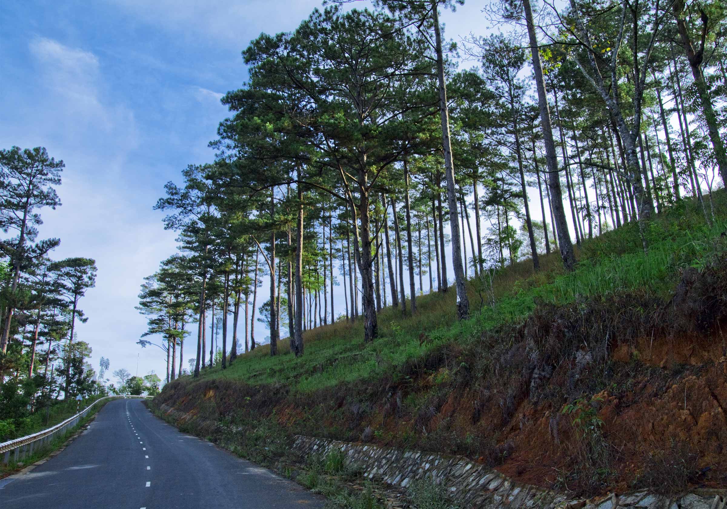 Dalat Edensse