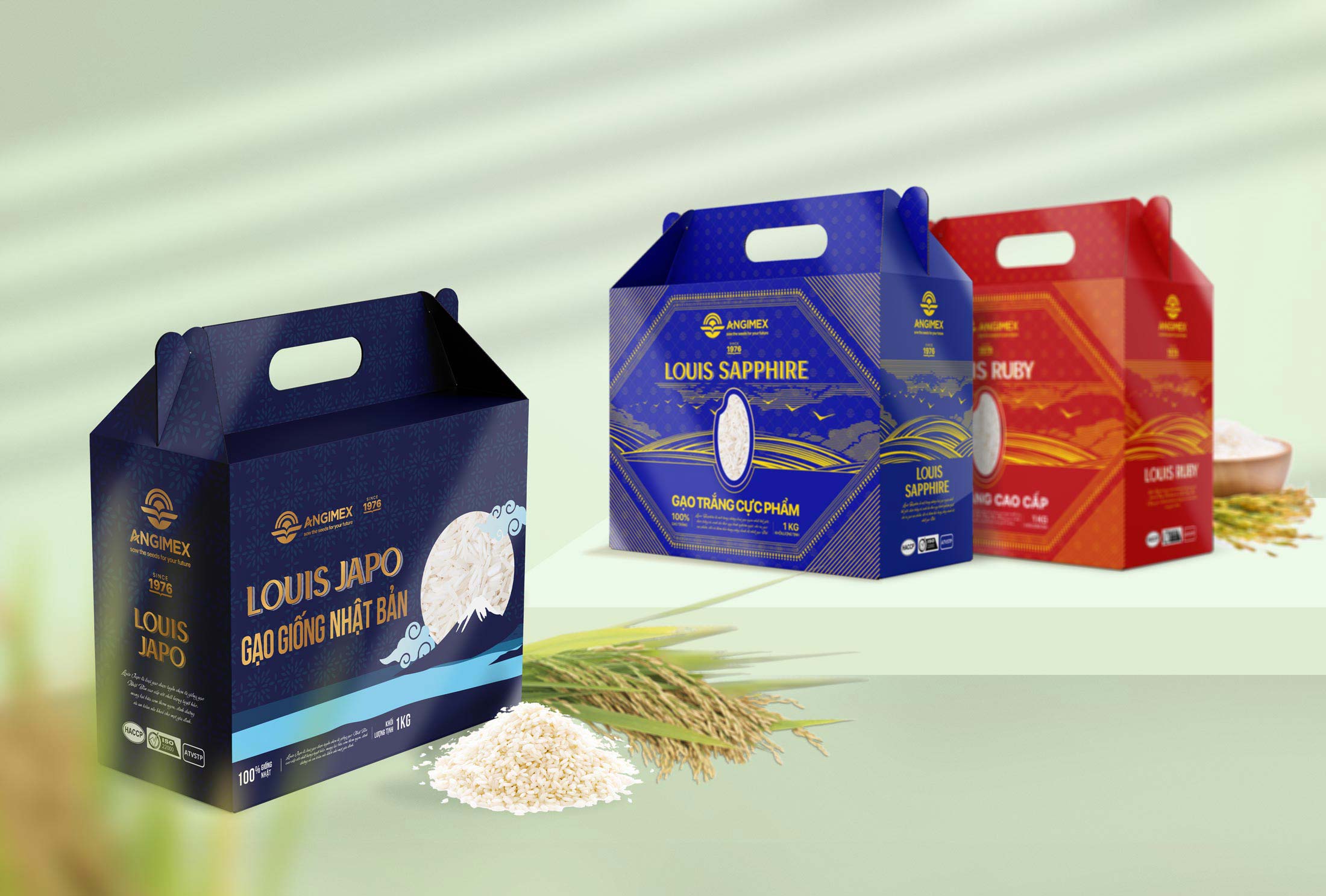 Angimex Rice