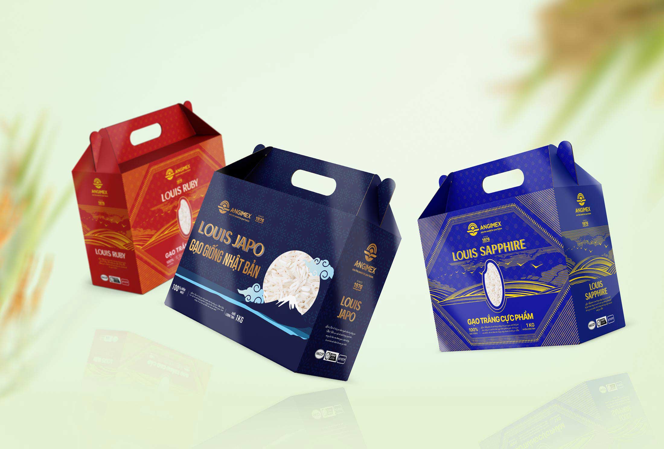 Angimex Rice