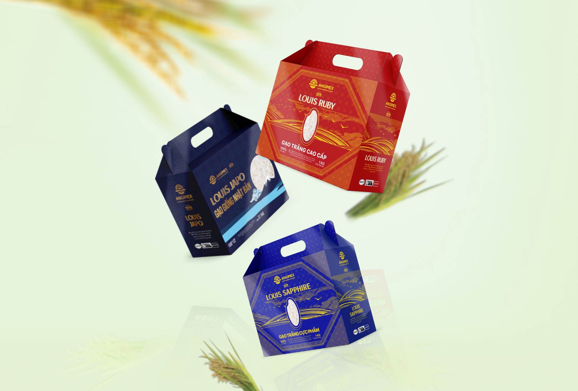 Angimex Rice