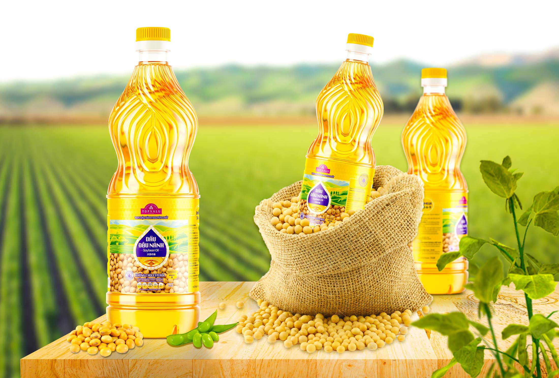 Dầu ăn Topvalu