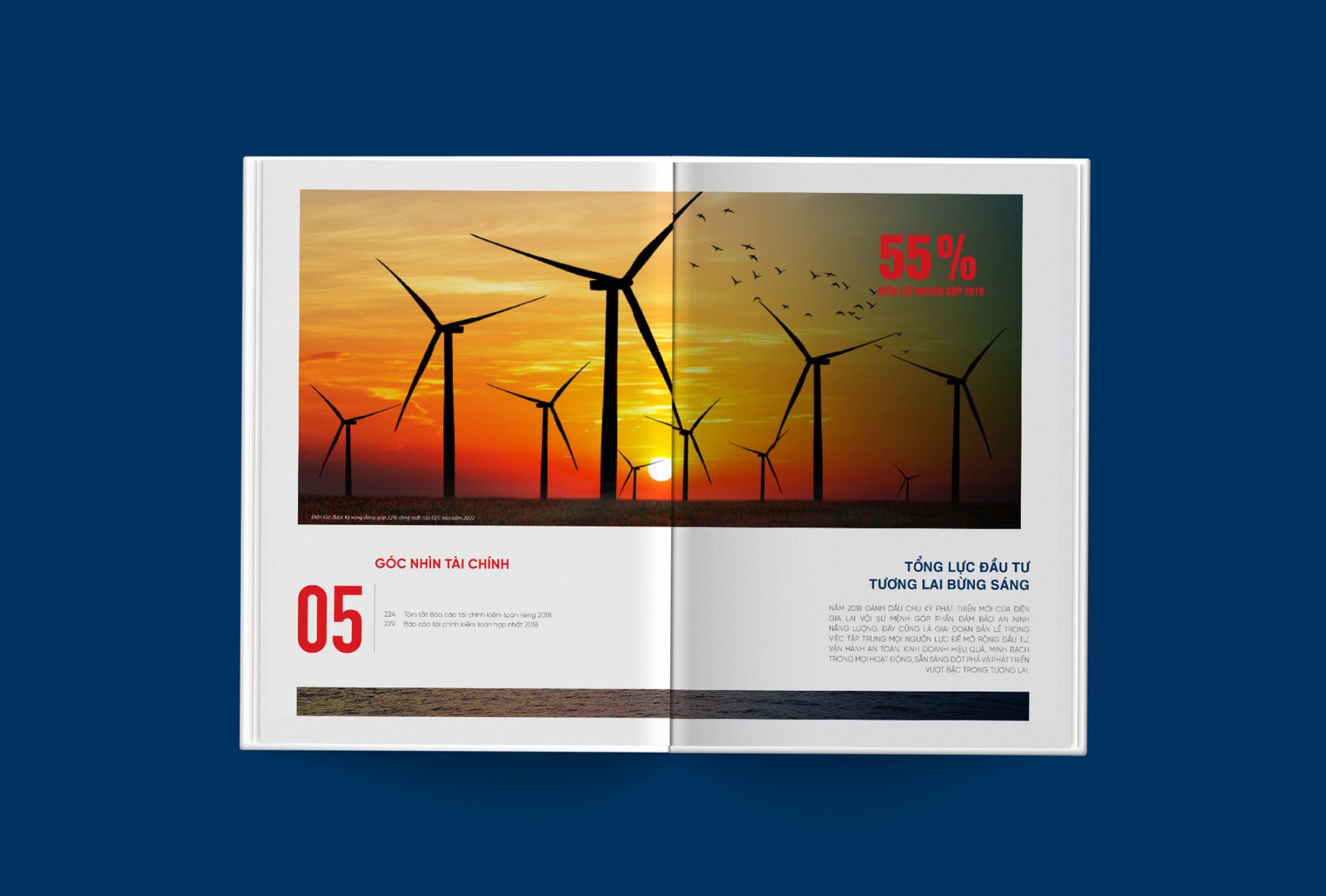 GEC – Gia Lai Electricity