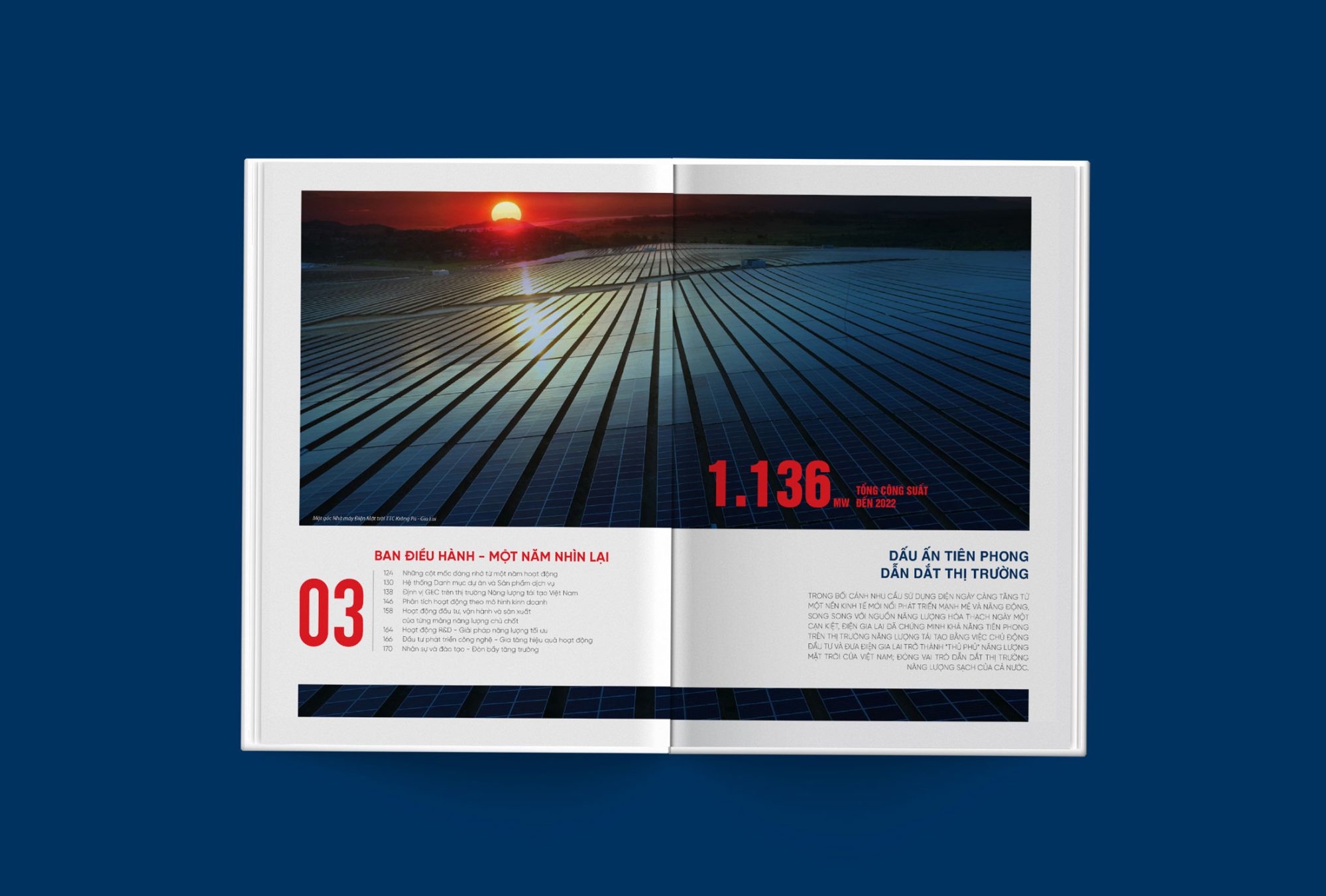 GEC – Gia Lai Electricity