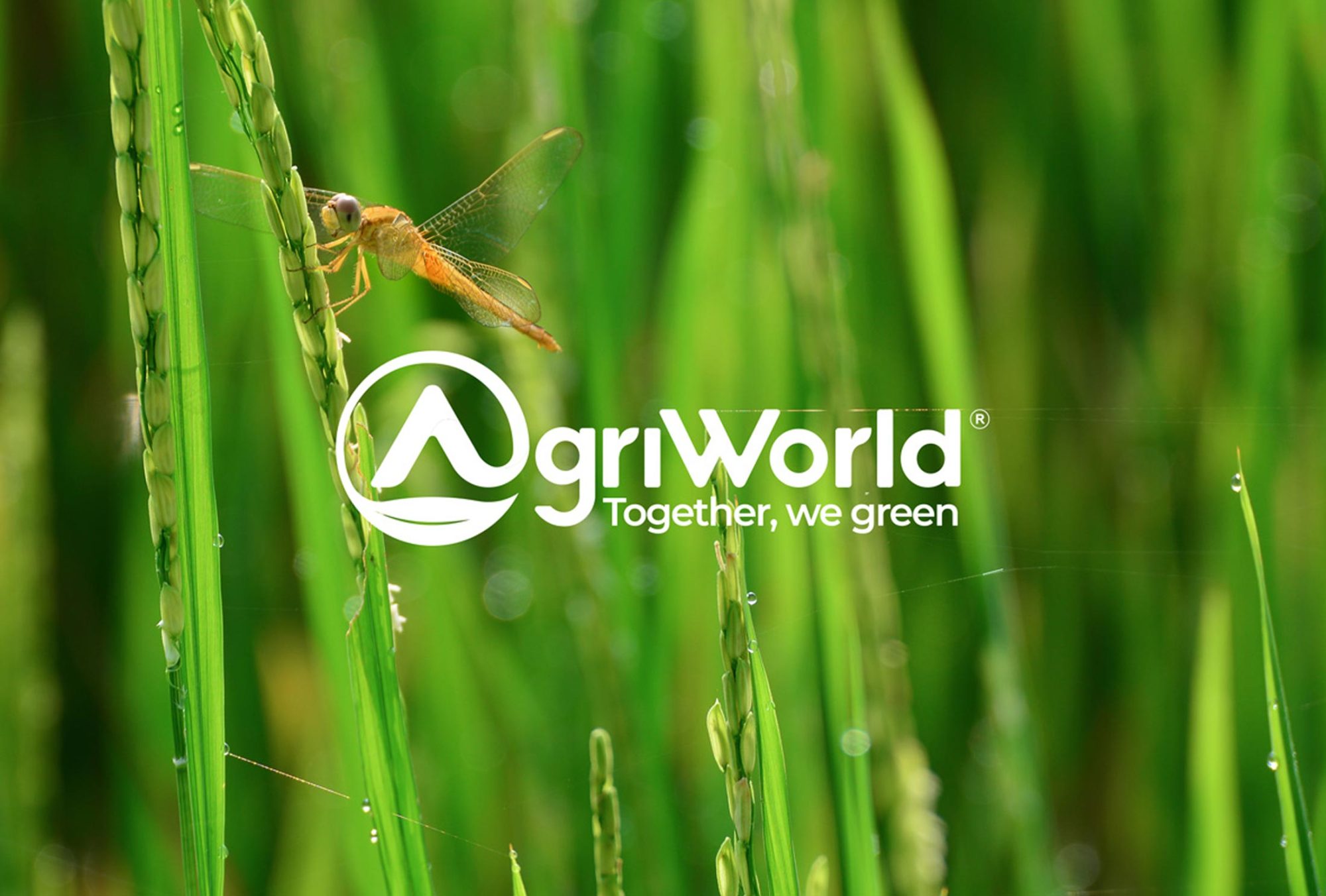 Agriworld
