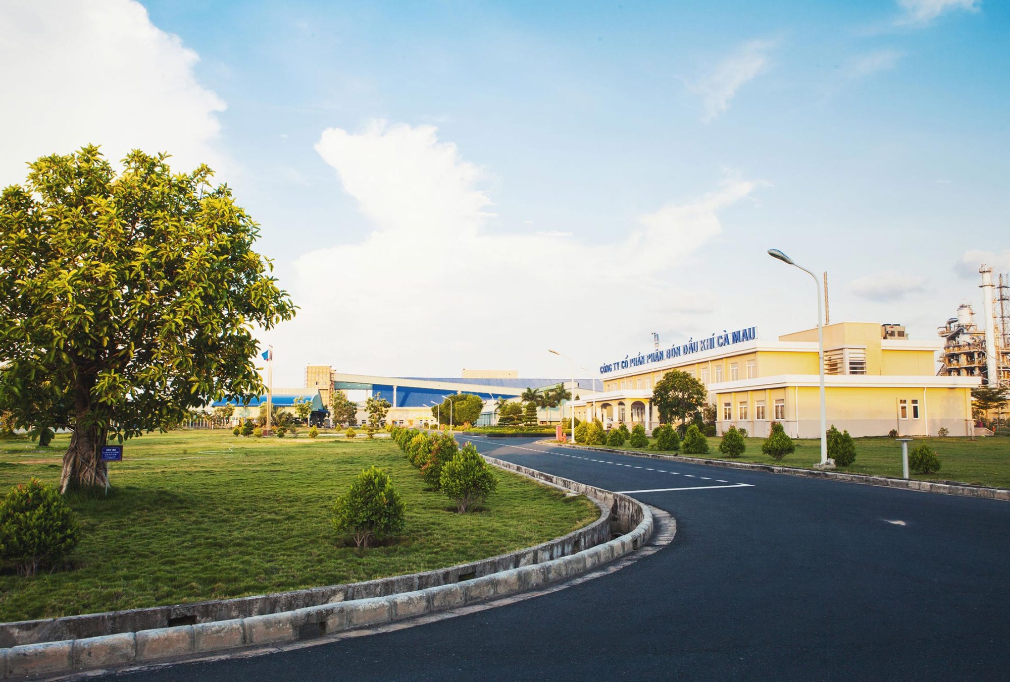 Đạm Cà Mau
